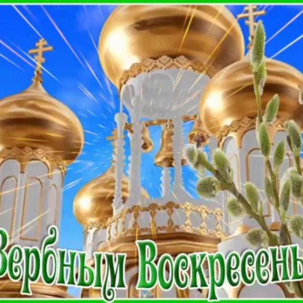 Аморе Пицца Тюмень